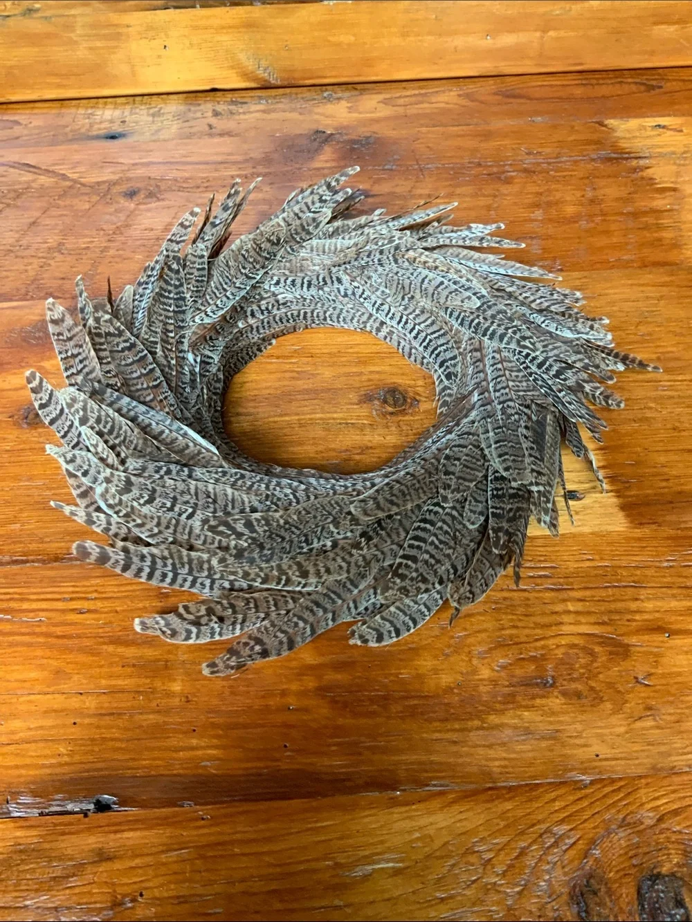 Decorative Pheasant Feather Holiday Wreath - Natural Brown